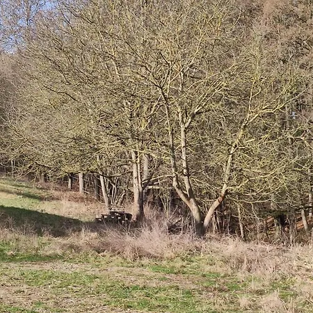 Waldrandlage Zum Voithenberg * 푸어트 임 발트