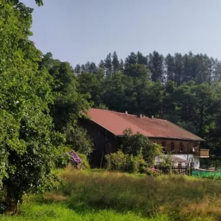 Waldrandlage Zum Voithenberg * Фурт-им-Вальд