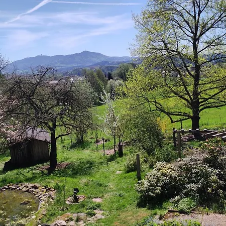 Waldrandlage Zum Voithenberg Appartamento Furth im Wald